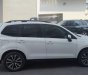 Subaru Forester 2017 - Subaru Forester 2017 tại Tp.HCM