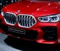 BMW X6 2022 - HÓT ưu đãi lên đến 229tr