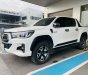 Toyota Hilux 2019 - Bán tải