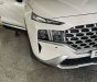 Hyundai Santa Fe 2021 - From 2022