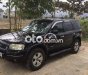 Ford Escape xe fort gia đình 2004 - xe fort gia đình