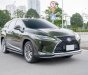 Lexus RX 350 2022 - Màu xanh, nội thất nâu