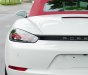 Porsche 718 2017 - Model 2018