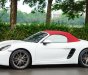 Porsche 718 2017 - Model 2018