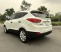 Hyundai Tucson 2010 - Nhập nguyên chiếc Hàn Quốc