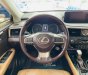 Lexus RX 300 2018 - Đăng kí lần đầu 2019, nhập khẩu Nhật Bản