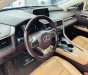 Lexus RX 300 2018 - Đăng kí lần đầu 2019, nhập khẩu Nhật Bản