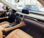 Lexus RX 300 2018 - Đăng kí lần đầu 2019, nhập khẩu Nhật Bản