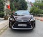 Lexus RX 300 2019 - Ngân hàng hỗ trợ 70% _90%