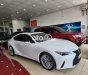 Lexus IS 300   300 sx 2020 xe chính chủ cực chất 2020 - Lexus IS 300 sx 2020 xe chính chủ cực chất