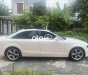 Audi A4   2009 2008 - Audi a4 2009