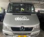 Mercedes-Benz Sprinter mer  313 2010 - mer sprinter 313