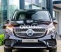 Mercedes-Benz V250 🔴Mercedes V250 AMG Đủ Màu - Nhập Khẩu Giao Ngay 2023 - 🔴Mercedes V250 AMG Đủ Màu - Nhập Khẩu Giao Ngay