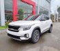 Kia Seltos 2023 - Đủ màu, đủ phiên bản - Xe sẵn giao ngay - Có hỗ trợ mua trả góp, lh tư vấn báo giá 0972.000.930