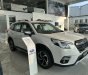Subaru Forester 2023 - Hệ thống Eyesight thế hệ mới, các tính năng an toàn tuyệt đối
