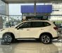 Subaru Forester 2023 - Hệ thống Eyesight thế hệ mới, các tính năng an toàn tuyệt đối