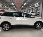 Peugeot 5008   2019, trắng, nguyên zin 2019 - Peugeot 5008 2019, trắng, nguyên zin