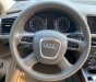 Audi Q5 2010 - Ngoại thất mầu nâu titan, ghế da cao cấp mầu kem