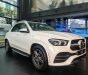 Mercedes-Benz GLE 450 2022 - Xe trưng bày hãng, màu trắng nội thất kem siêu lướt 30 km