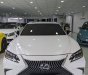 Lexus ES 250 2019 - Lexus ES 250 2019