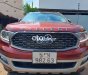 Ford Everest Xe gia đình ít đi ,cần bán 2021 - Xe gia đình ít đi ,cần bán
