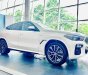 BMW X6 2023 - mới 100%, đủ màu, giảm sâu mấy trăm triệu cho khách mua xe em Dương tháng 7, giao ngay
