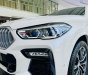 BMW X6 2023 - mới 100%, đủ màu, giảm sâu mấy trăm triệu cho khách mua xe em Dương tháng 7, giao ngay