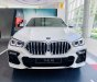 BMW X6 2023 - mới 100%, đủ màu, giảm sâu mấy trăm triệu cho khách mua xe em Dương tháng 7, giao ngay
