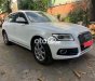 Audi Q5 xe auddi sx2010 dk lần đầu 2011 2010 - xe auddi sx2010 dk lần đầu 2011