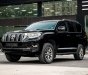 Toyota Land Cruiser Prado 2019 - Bên em hỗ trợ 70% giá trị xe