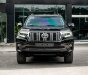 Toyota Land Cruiser Prado 2019 - Bên em hỗ trợ 70% giá trị xe