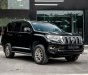 Toyota Land Cruiser Prado 2019 - Bên em hỗ trợ 70% giá trị xe