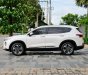 Hyundai Santa Fe 2020 - Cam kết không đâm đụng, ngập nước