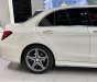 Mercedes-Benz C 250 2015 - Biển tỉnh