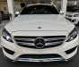 Mercedes-Benz C 250 2015 - Biển tỉnh