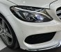 Mercedes-Benz C 250 2015 - Biển tỉnh