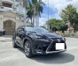 Lexus NX 300 2017 - Lexus NX 300 2017, màu đỏ, odo 65 vạn