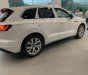 Volkswagen Touareg 2022 - Nam Thần Đường Phố