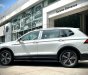 Volkswagen Tiguan 2023 - TẶNG 150% TRƯỚC BẠ or HÀNG TRĂM TRIỆU TIỀN MẶT VÀ GÓI PHỤ KIỆN NÂNG CẤP XE CHÍNH HÃNG GIÁ TỐT NHẤT MIỀN NAM LH NGAY 0979573796