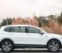 Volkswagen Tiguan 2022 - Dẫn động 4 bánh toàn thời gian, xe Nhập, lái sướng