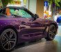 BMW Z4 2023 - Roadster cá tính với màu Thundernight Metallic