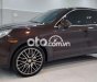 Porsche Cayenne Xe  , Sx 2015 2015 - Xe Porsche Cayenne, Sx 2015