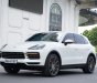 Porsche Cayenne 2019 - Odo 4v9 km, Option full thủng nóc nhà