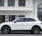 Porsche Cayenne 2019 - Odo 4v9 km, Option full thủng nóc nhà