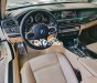 BMW 520i  520i sx 2014 máy Zin,lên Nhìu Option 2014 - BMW 520i sx 2014 máy Zin,lên Nhìu Option