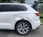 Volkswagen Touareg Cần bán  2023 SG, 1500km đẹp 2023 - Cần bán Touareg 2023 SG, 1500km đẹp