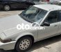 Honda Accord   mắt híp 1987 - Honda accord mắt híp