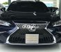 Lexus ES 250 Cần bán chiếc xe   250 sx 2019 2019 - Cần bán chiếc xe Lexus ES 250 sx 2019