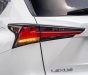 Lexus NX 300 2019 - Hỗ trợ vay tối đa 70% xe