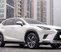 Lexus NX 300 2019 - Hỗ trợ vay tối đa 70% xe
